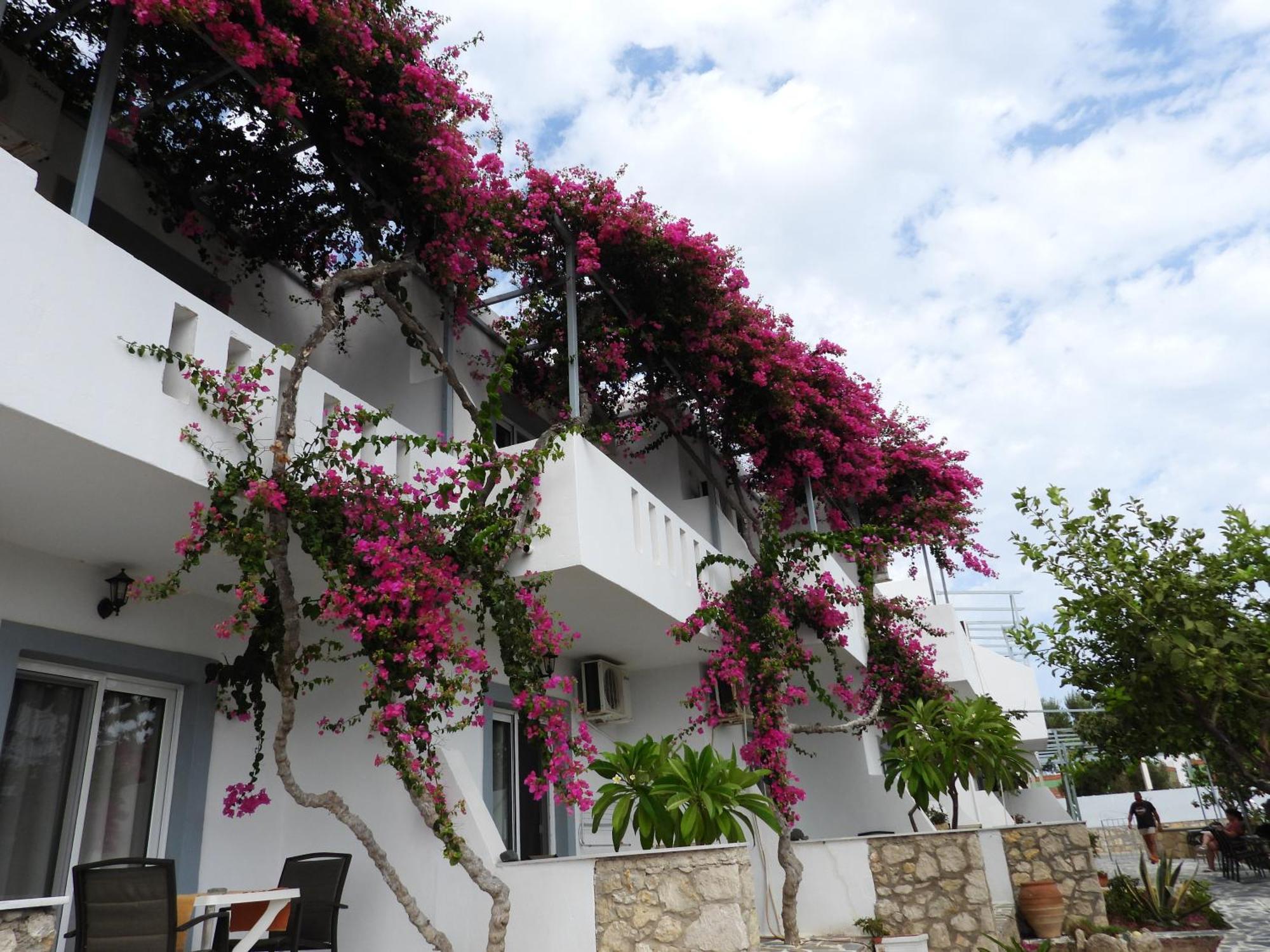 Studios Nina Amoopi Exterior foto